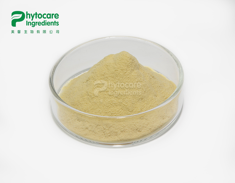 Soapnut Extract Powder